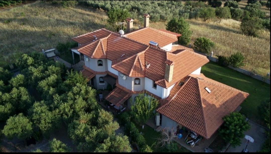 Alice Wonderland Home Nea Flogita Halkidiki Exterior photo