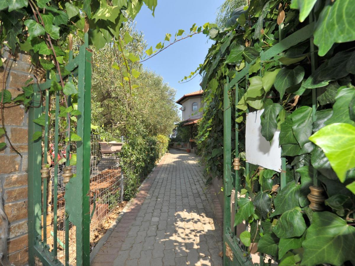 Alice Wonderland Home Nea Flogita Halkidiki Exterior photo